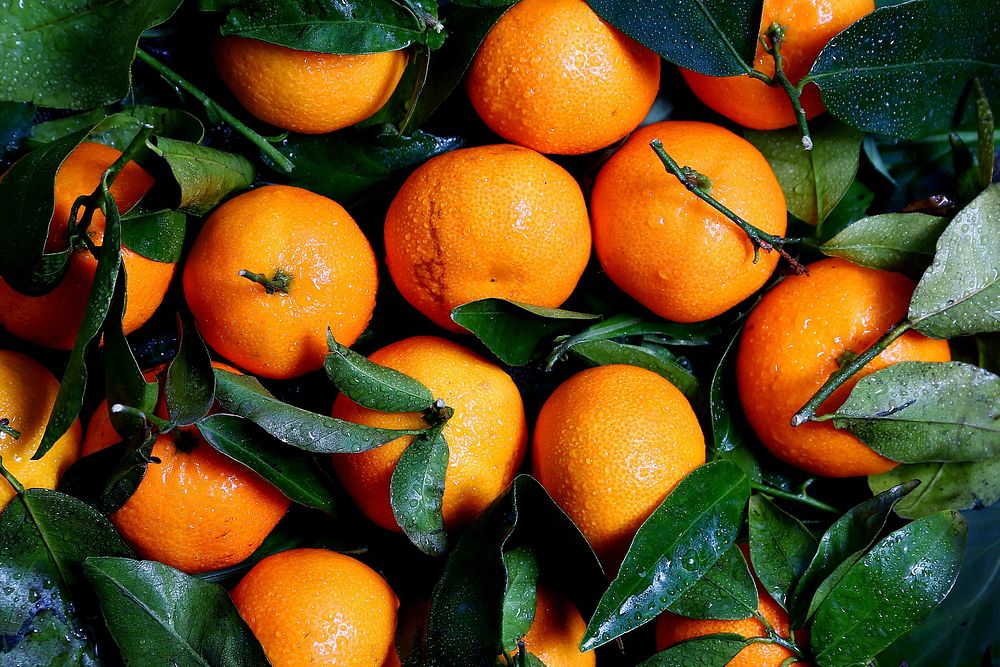 Free oranges image, public domain fruit CC0 photo.