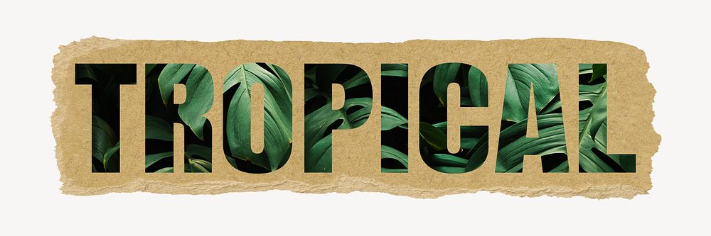 Tropical word typography, green jungle leaves, ripped paper design