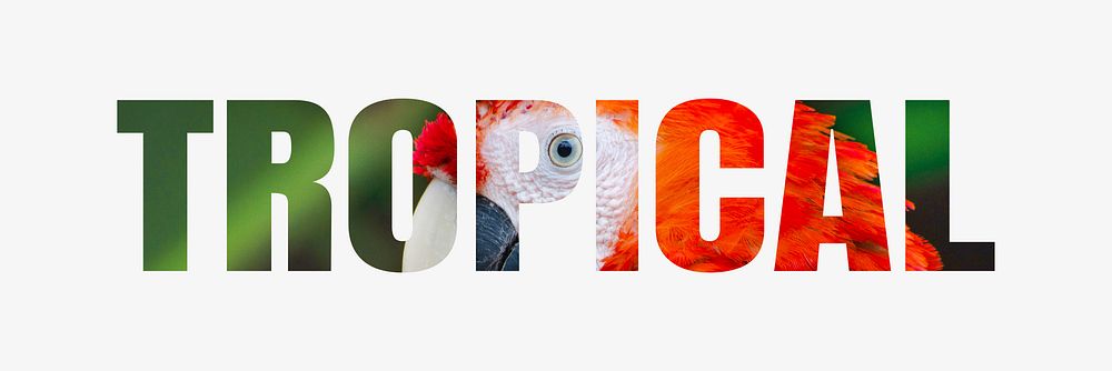 Tropical word typography, wild jungle bird