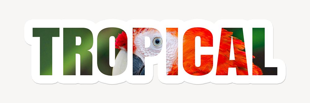 Tropical word typography, white border text, wild jungle bird