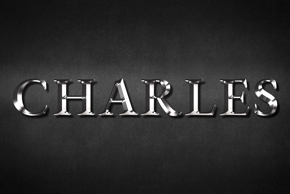 Charles typography in silver metallic effect design element