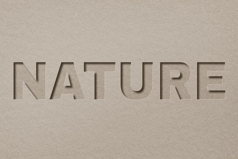 Nature word paper cut font typography