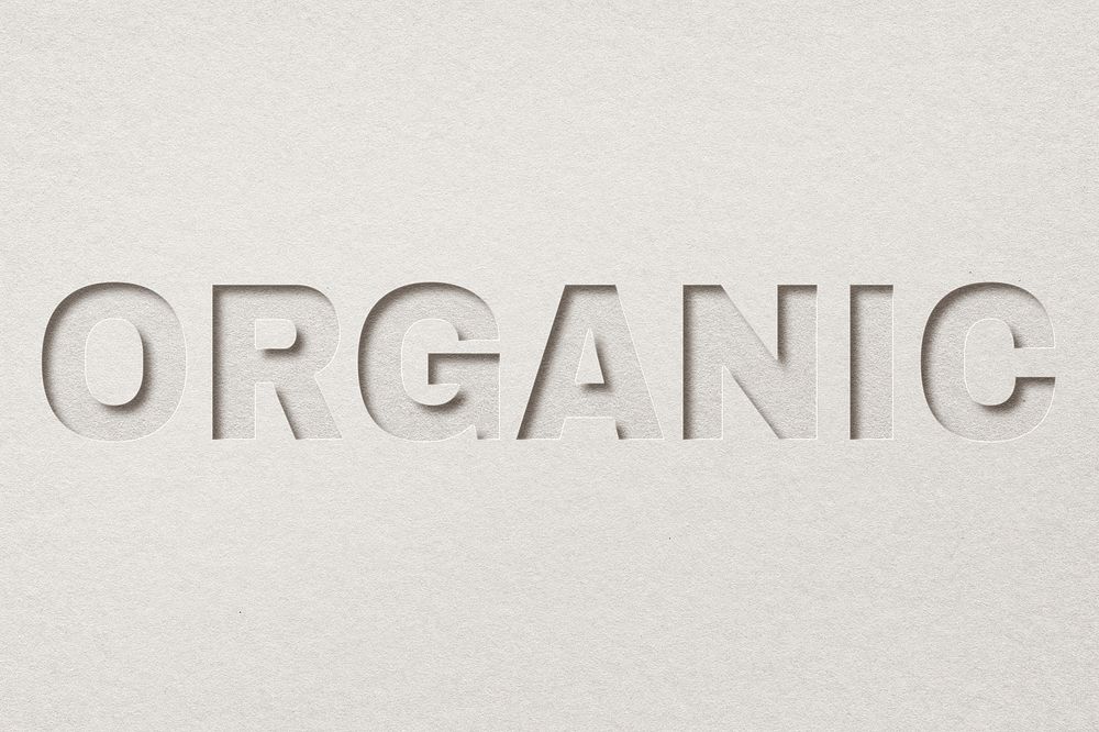 Organic paper cut font typography