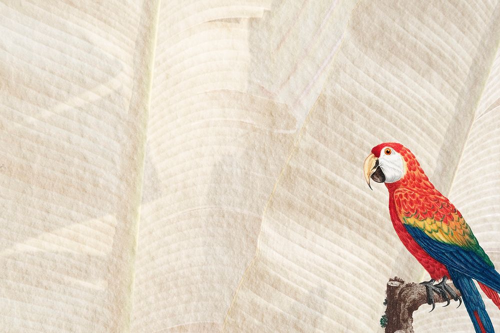 Macaw bird on brown background design space