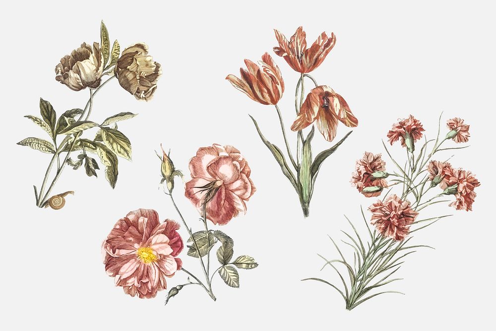 Vintage flower vector hand drawn illustration set