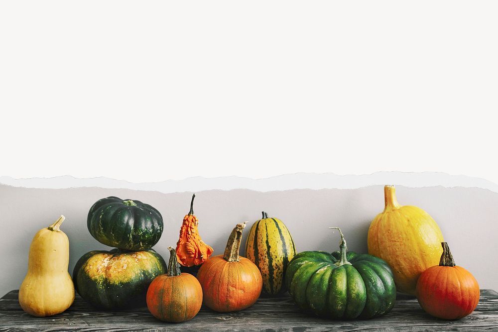 Autumn gourds background, with ripped paper border