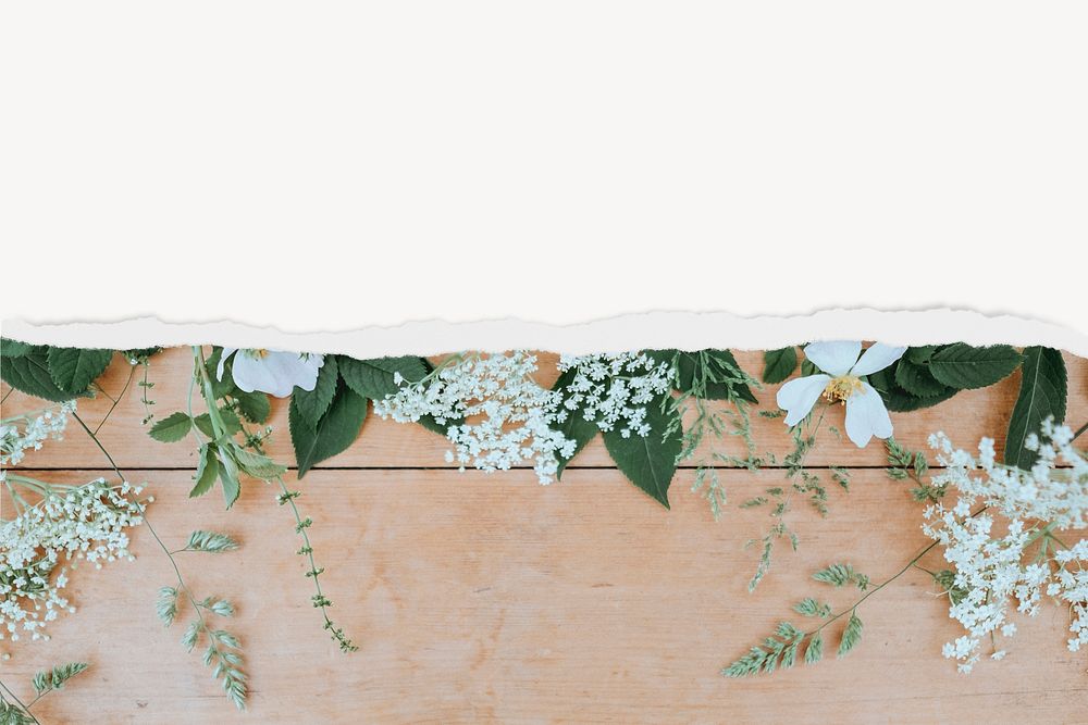 White flowers background, with ripped paper border