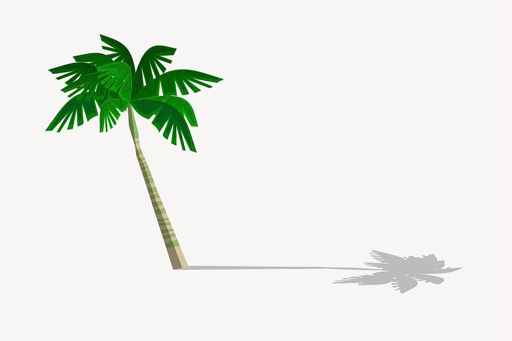 Palm tree clipart, botanical illustration. Free public domain CC0 image.