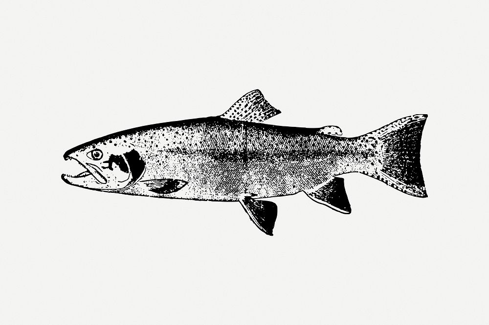 Salmon fish clipart, vintage sea animal illustration psd. Free public domain CC0 image.