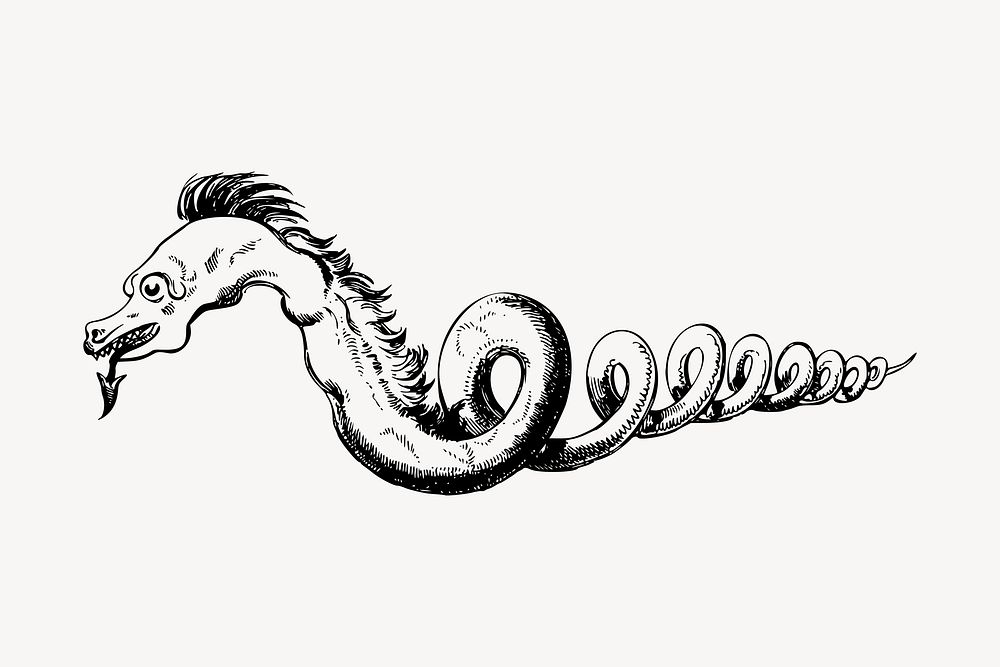 Snake dragon drawing, vintage myth creature illustration vector. Free public domain CC0 image.