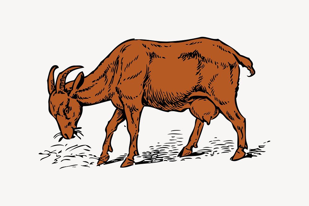 Brown goat clipart, drawing illustration vector. Free public domain CC0 image.