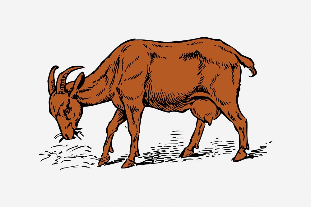 Brown goat, drawing illustration. Free public domain CC0 image.