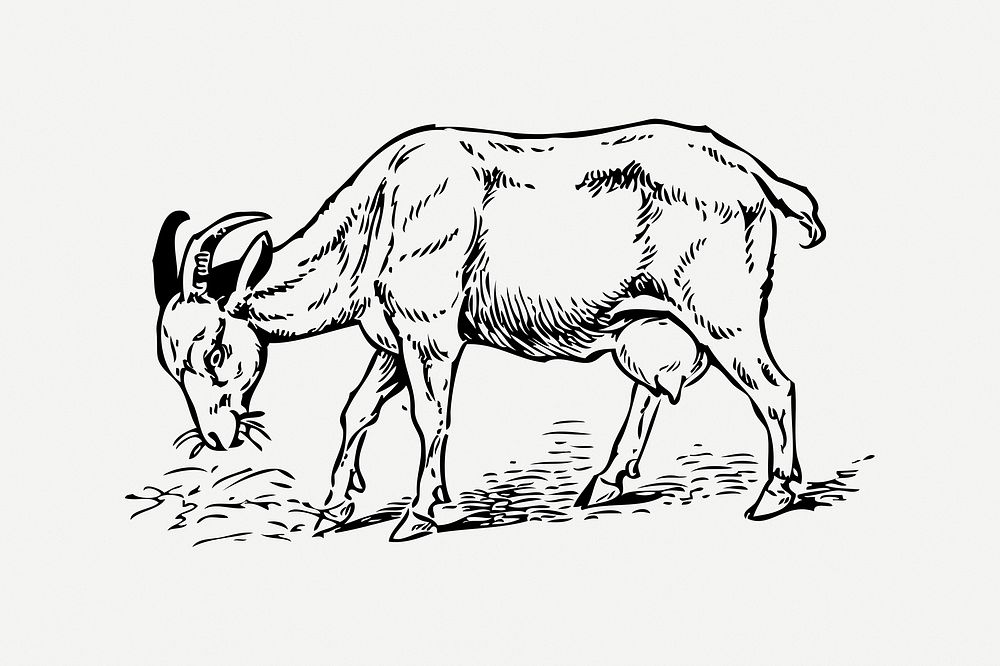 Brown goat collage element, vintage illustration psd. Free public domain CC0 image.