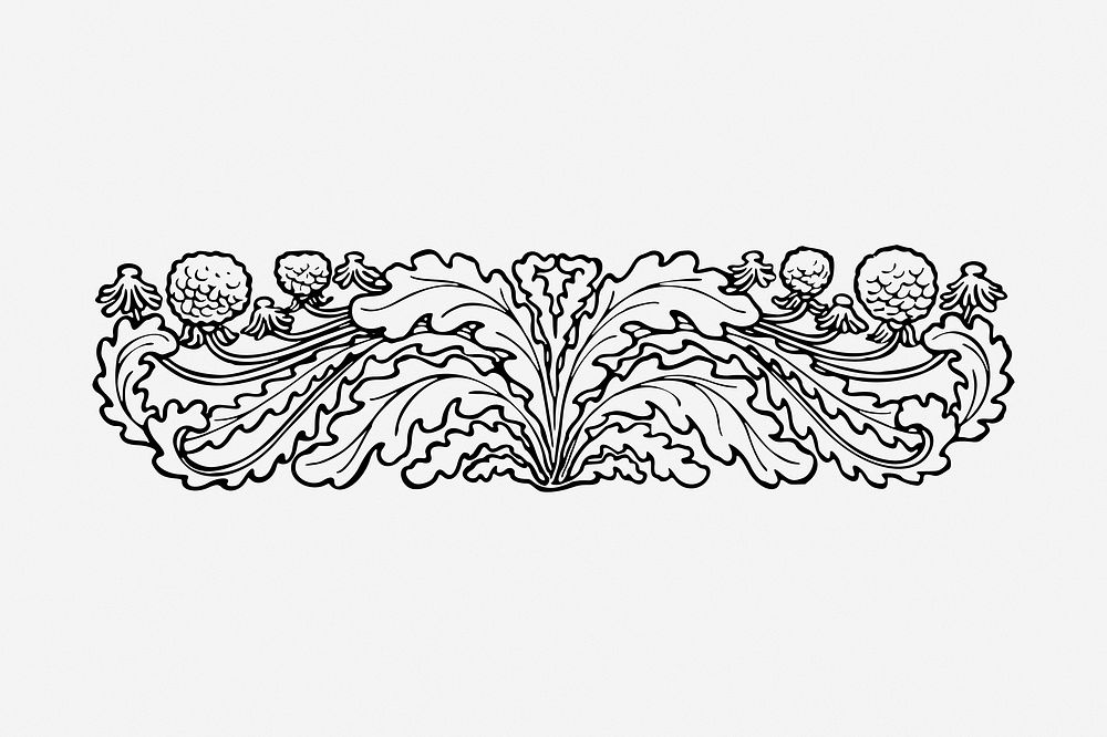 Botanical ornament, drawing illustration. Free public domain CC0 image.