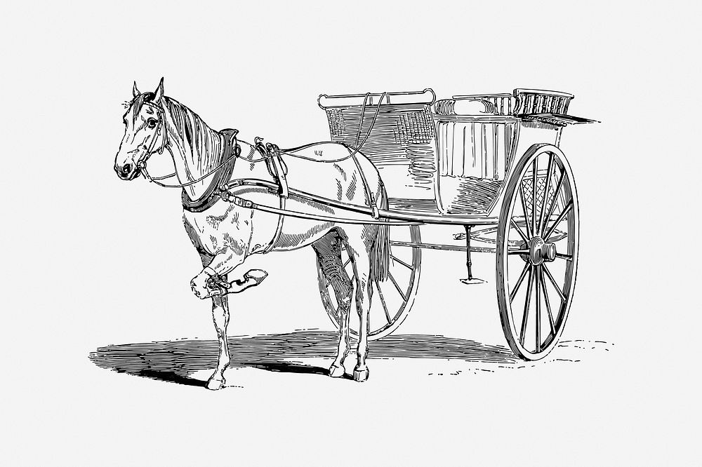 Horse carriage, drawing illustration. Free public domain CC0 image.