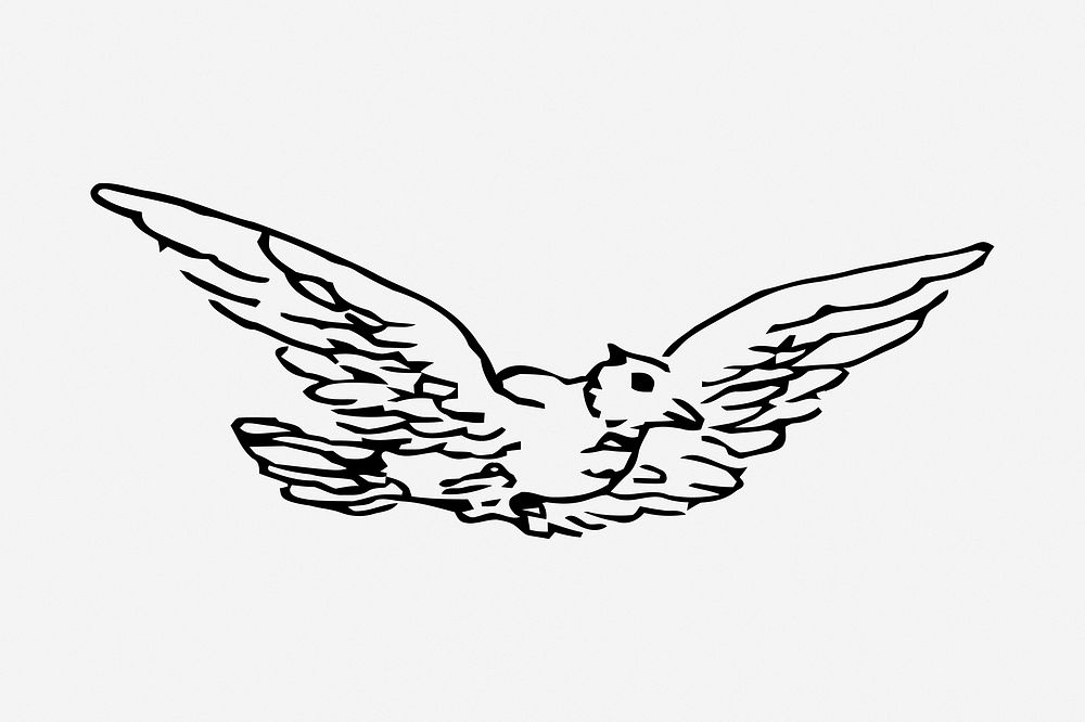 Bird, drawing illustration. Free public domain CC0 image.