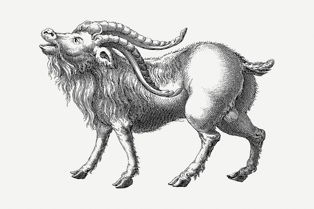 Mountain Goat clipart, vintage illustration psd. Free public domain CC0 image.