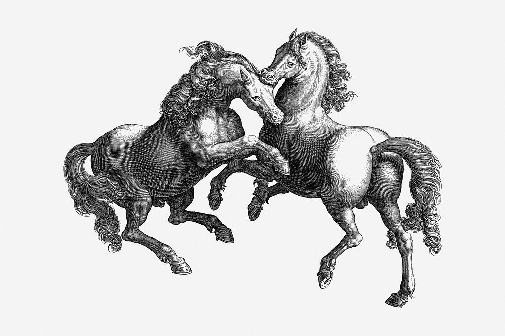 Horses, vintage drawing illustration. Free public domain CC0 image.