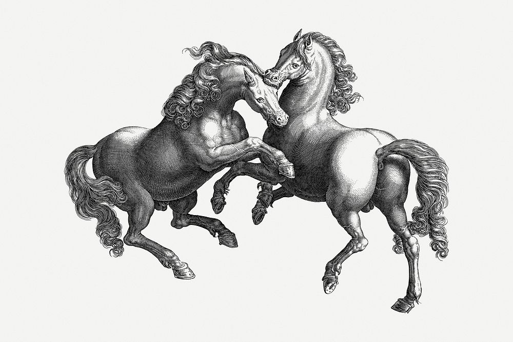 Horses clipart, vintage illustration psd. Free public domain CC0 image.