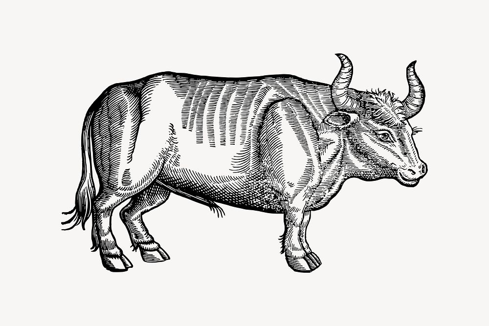 Ox collage element, drawing illustration vector. Free public domain CC0 image.