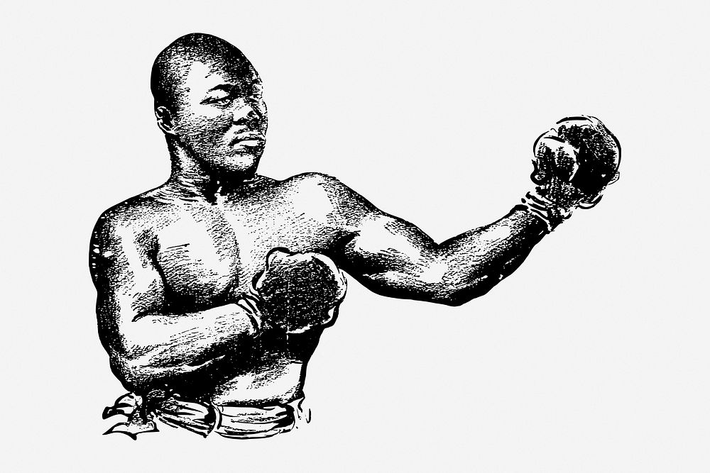 Boxer, vintage drawing illustration. Free public domain CC0 image.