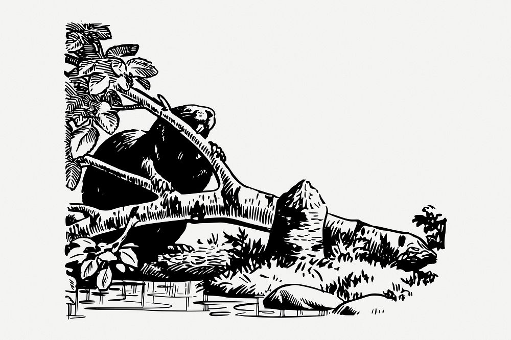 Beaver with branch clipart, vintage illustration psd. Free public domain CC0 image.