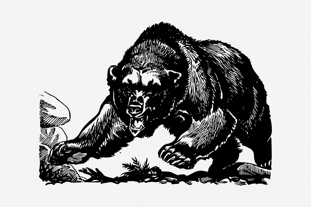 Grizzly clipart, vintage illustration psd. Free public domain CC0 image.