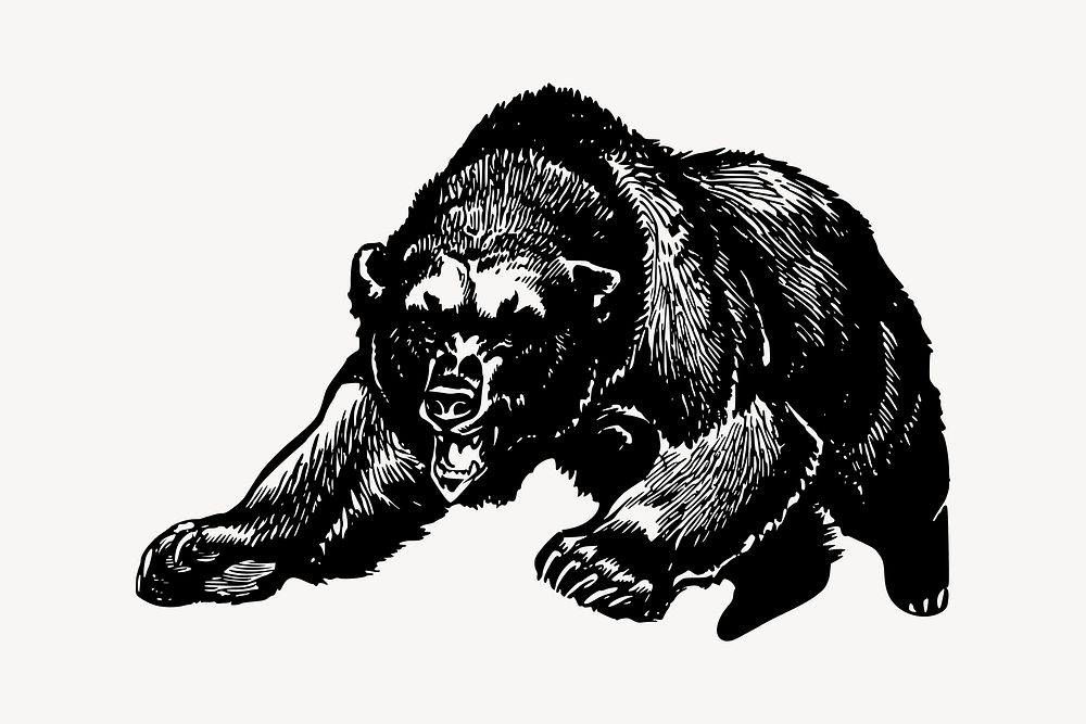 Grizzly collage element, drawing illustration vector. Free public domain CC0 image.