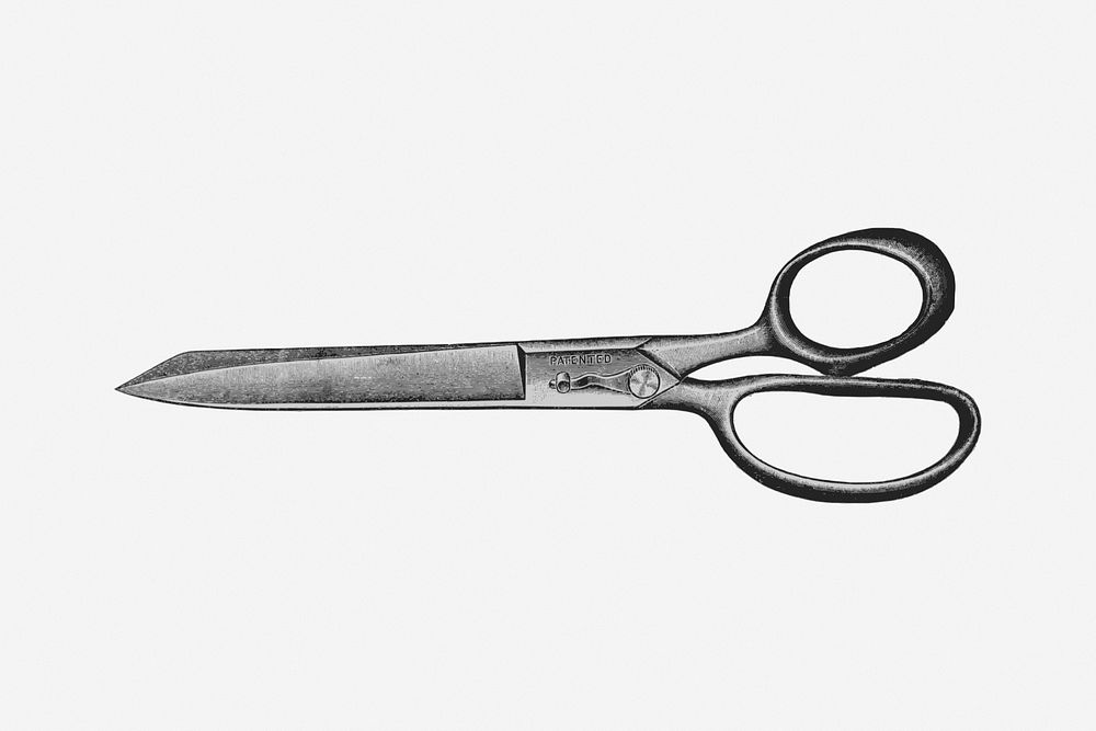 Scissors, vintage drawing illustration. Free public domain CC0 image.