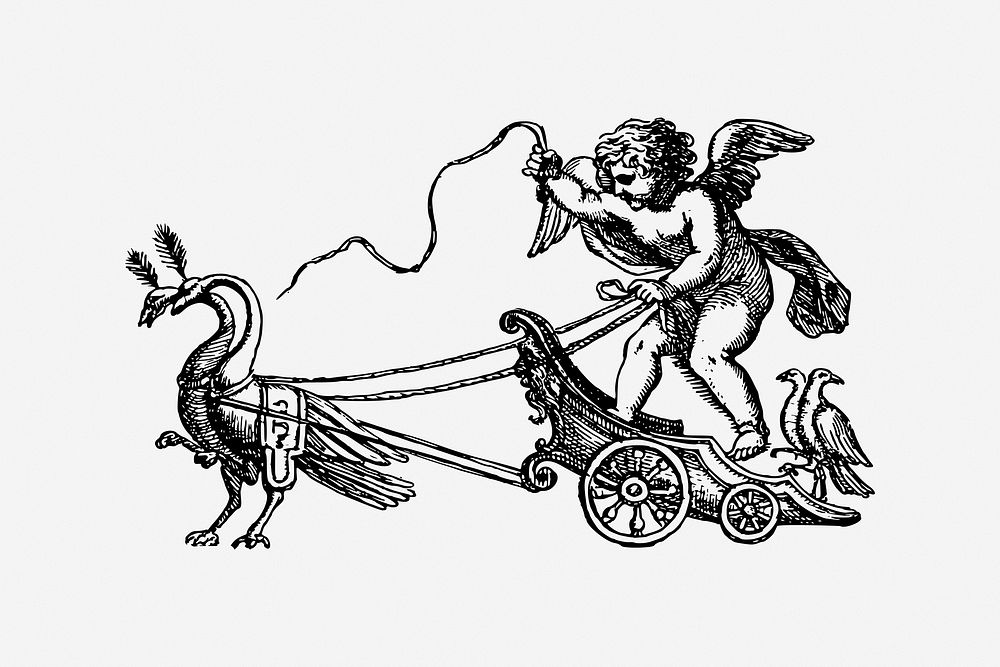Cherub on chariot, vintage drawing illustration. Free public domain CC0 image.