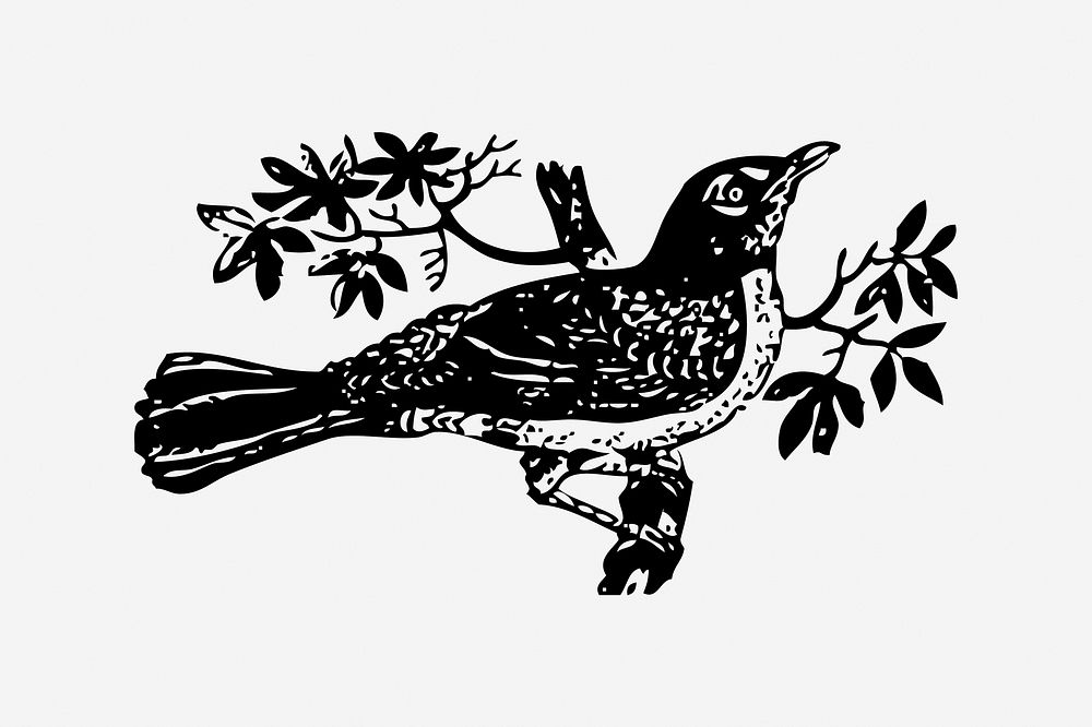 Bird, black & white illustration. Free public domain CC0 image.