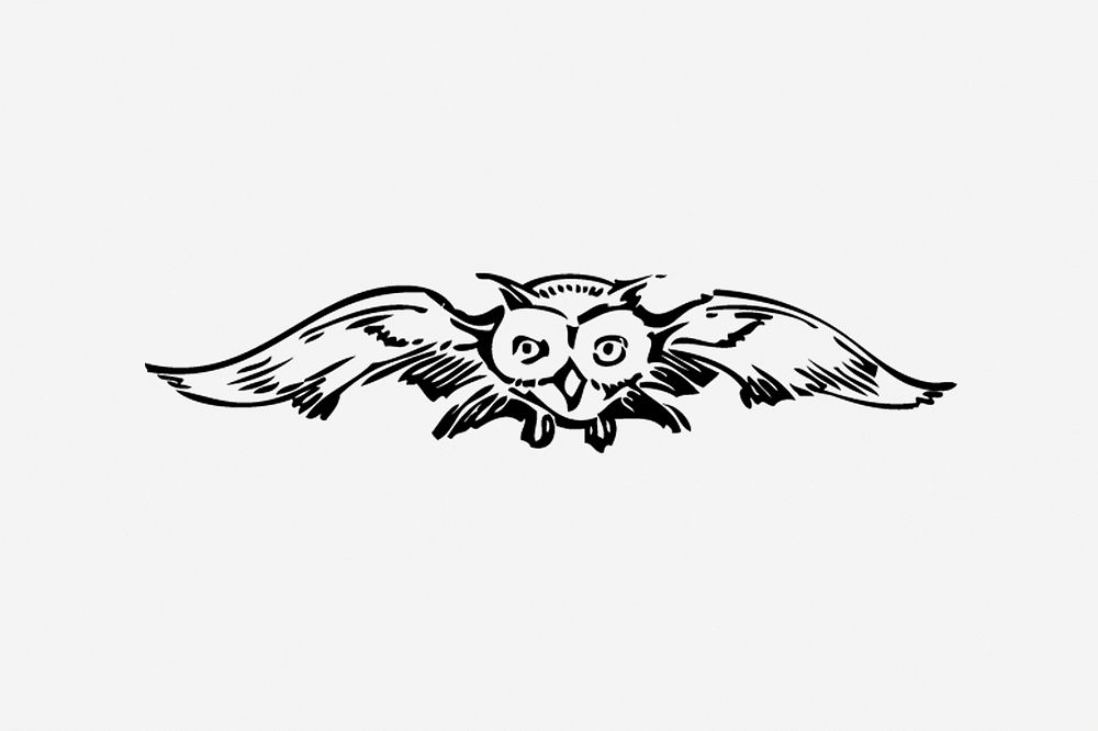 Flying owl, black & white illustration. Free public domain CC0 image.