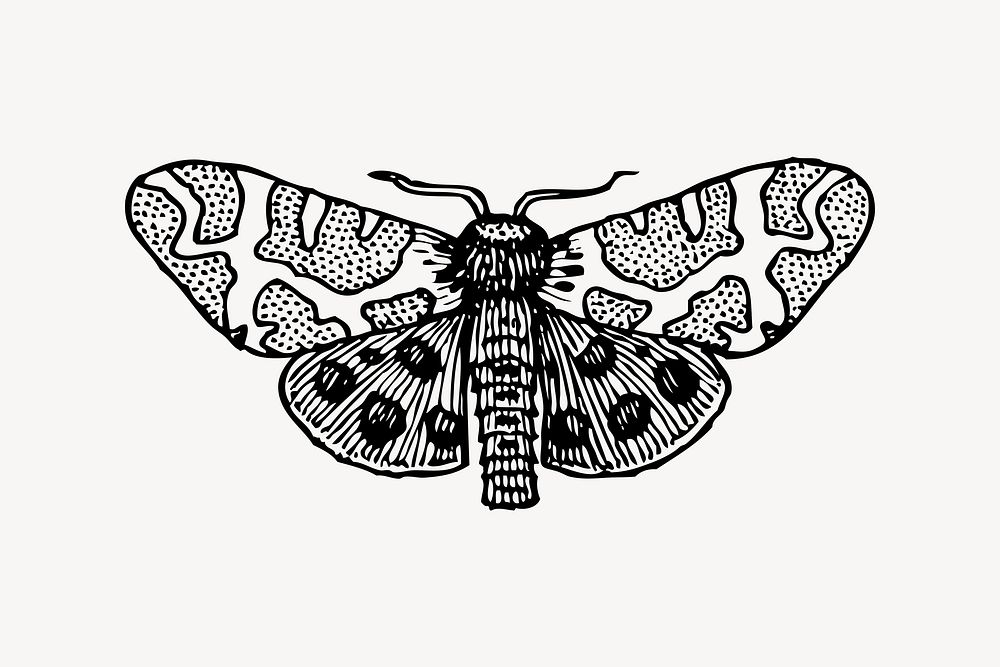 Moth clipart, vintage illustration vector. Free public domain CC0 image.