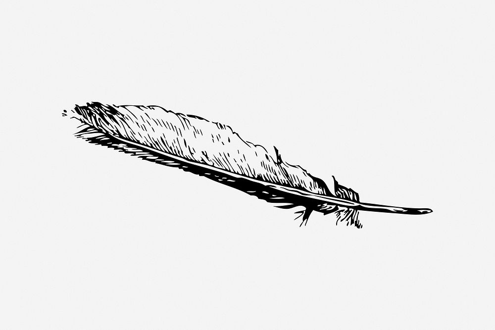 Quill pen, black & white illustration. Free public domain CC0 image.
