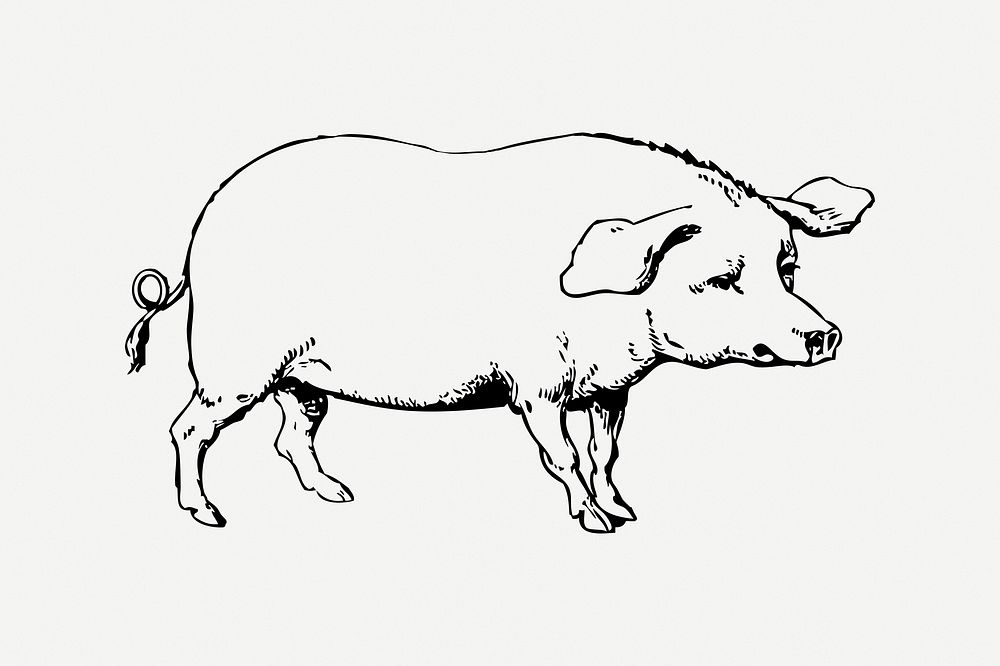 Pig collage element, black & white illustration psd. Free public domain CC0 image.