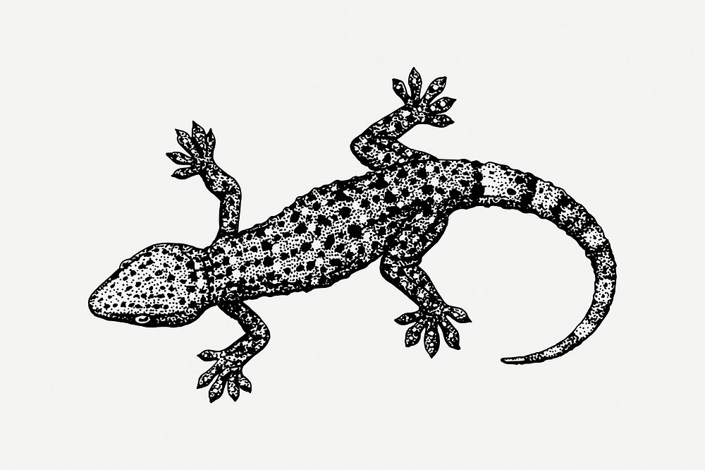 Gecko collage element, black & white illustration psd. Free public domain CC0 image.
