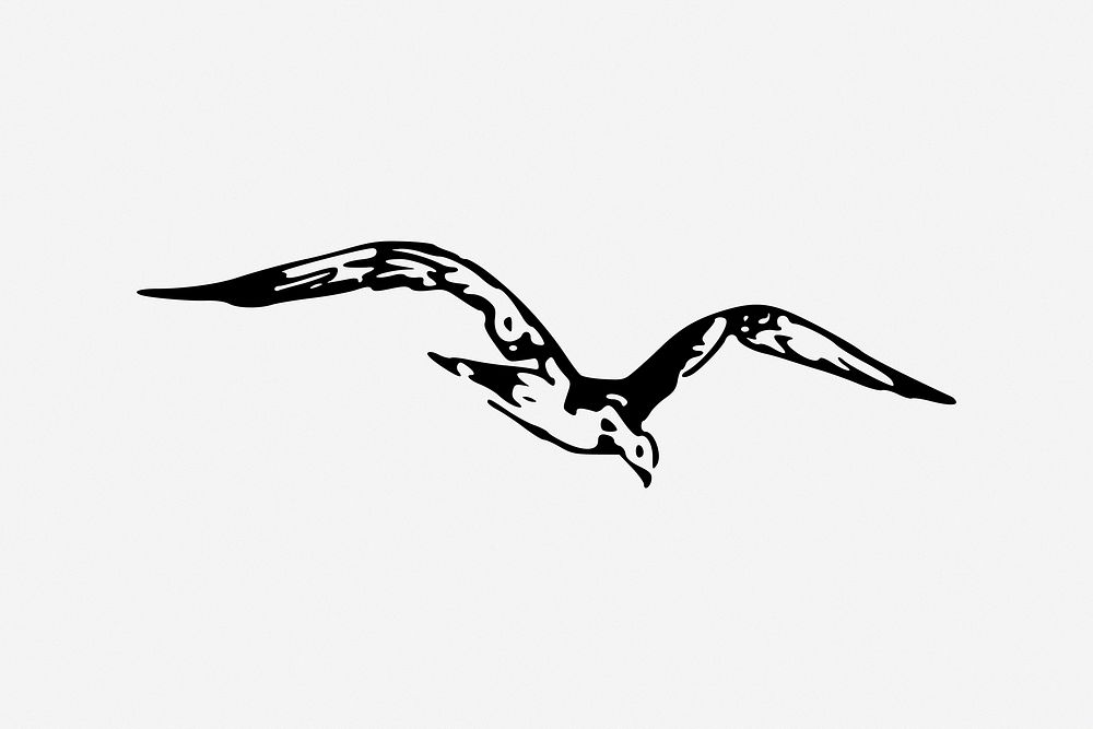 Flying bird, black & white illustration. Free public domain CC0 image.