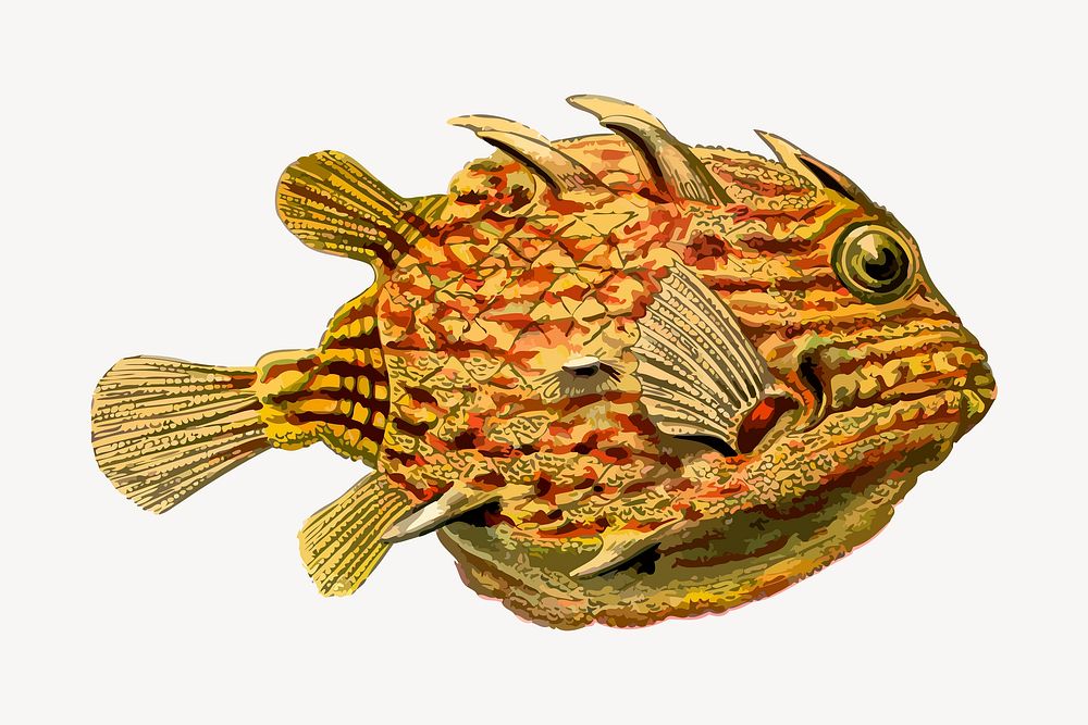 Exotic fish clipart, animal illustration vector. Free public domain CC0 image