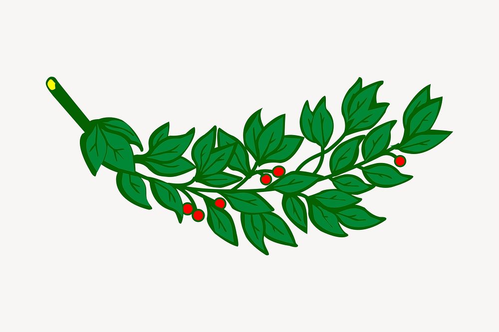 Laurel branch clipart, botanical illustration vector. Free public domain CC0 image
