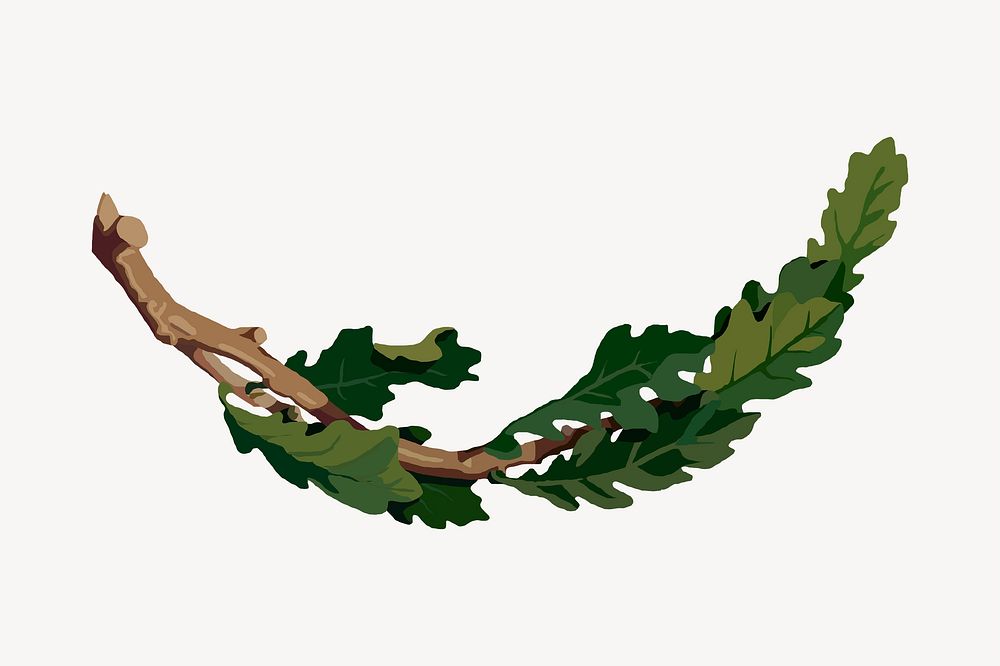 Oak branch clipart, botanical illustration vector. Free public domain CC0 image