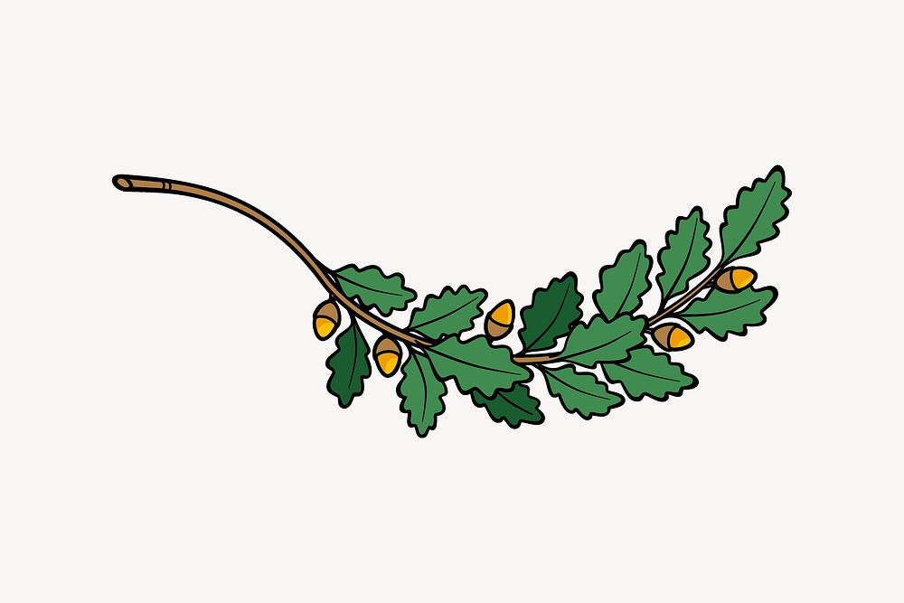 Oak leaf clip art, Christmas illustration. Free public domain CC0 image.