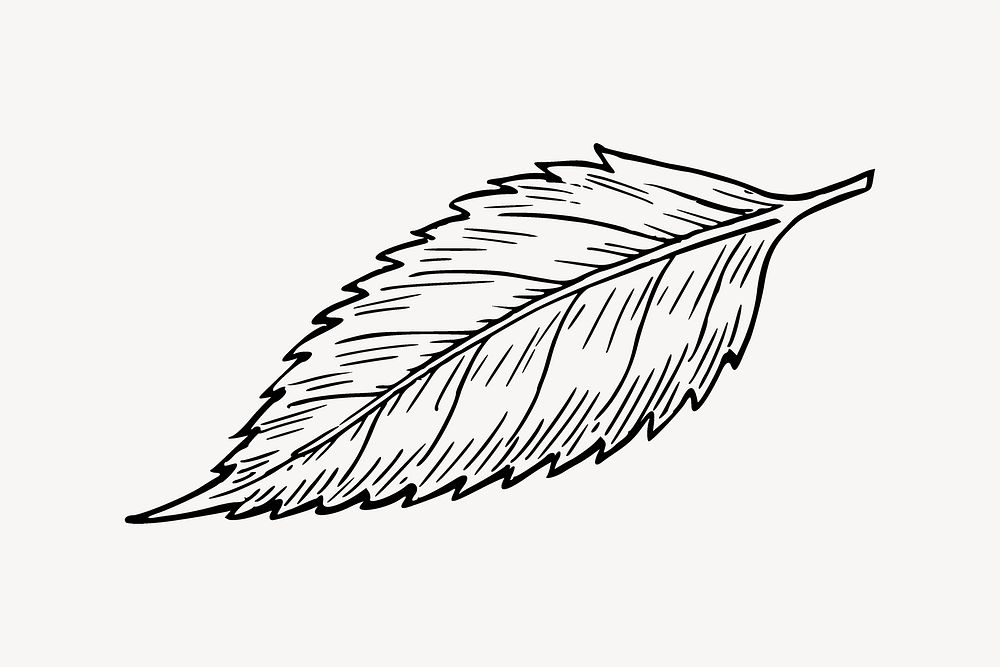 Leaf clipart, black and white illustration psd. Free public domain CC0 image.