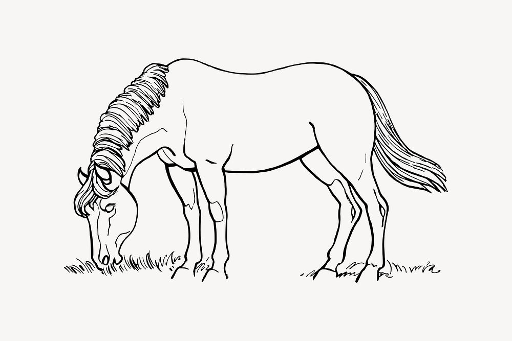 Horse grazing, livestock illustration. Free public domain CC0 image.