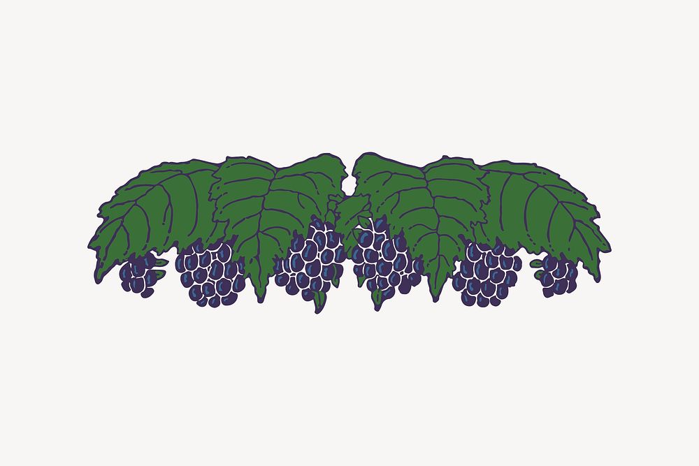 Grapes clipart, fruit illustration vector. Free public domain CC0 image.