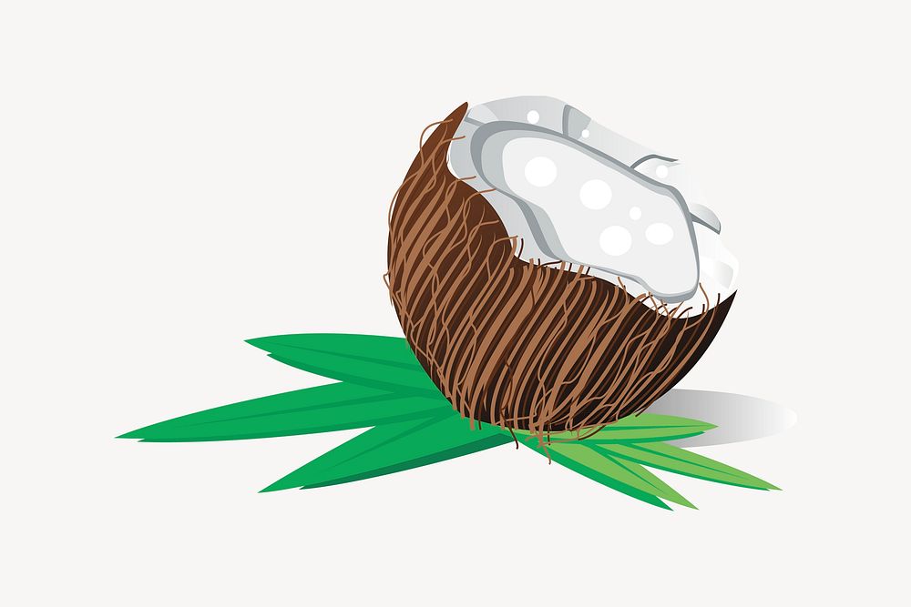 Coconut, fruit illustration. Free public domain CC0 image.
