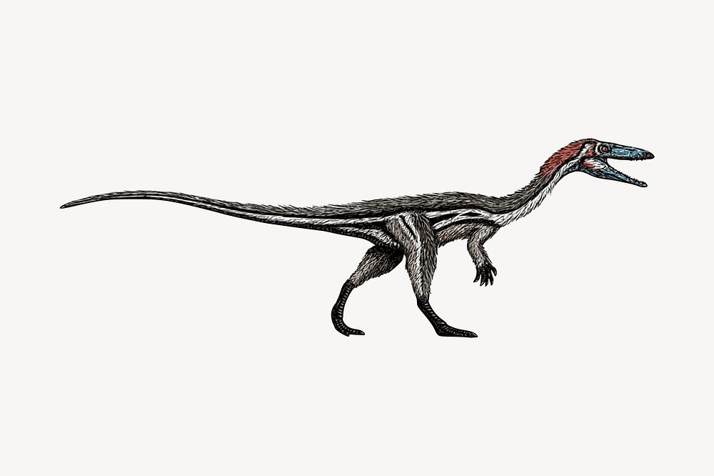 Coelophysis dinosaur drawing, black and white illustration psd. Free public domain CC0 image.