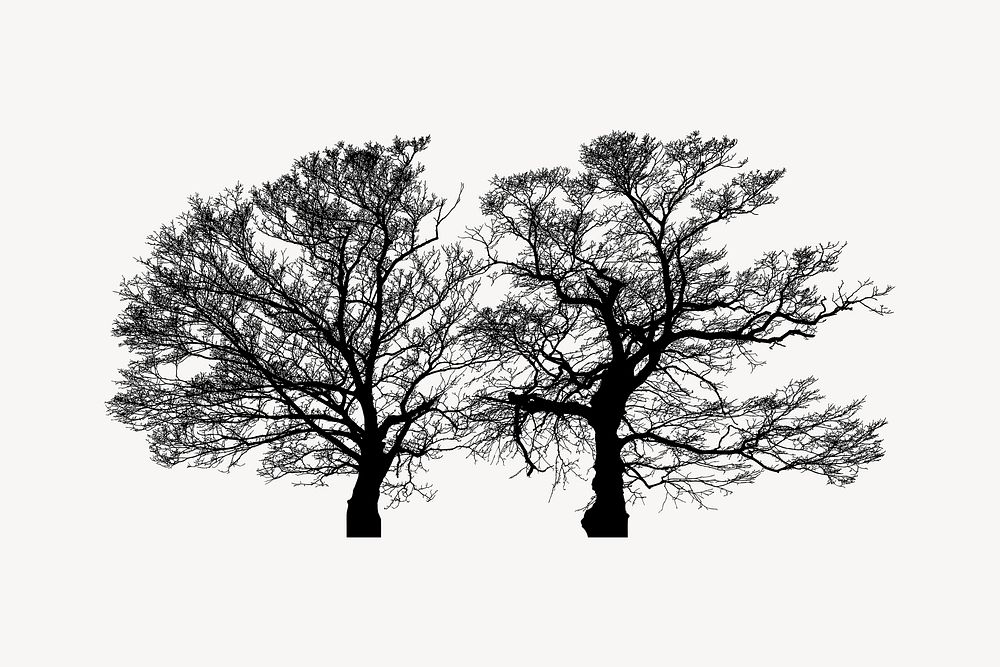 Leafless tree silhouette illustration. Free public domain CC0 image.