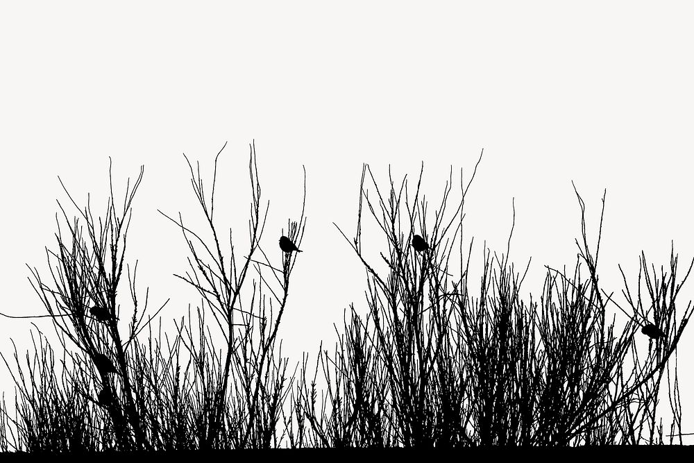 Leafless bush silhouette border clipart, nature illustration vector. Free public domain CC0 image.
