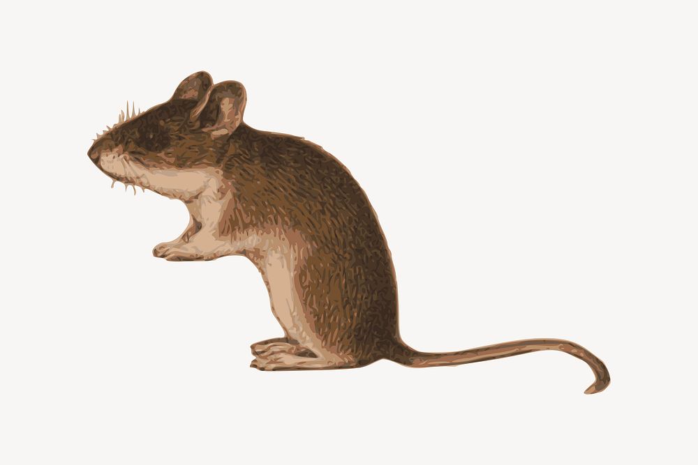 Rat collage element, cute illustration vector. Free public domain CC0 image.