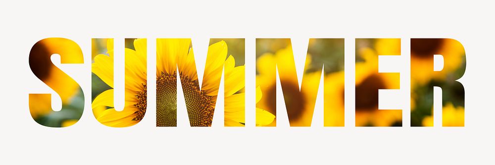 Summer word typography, yellow sunflowers